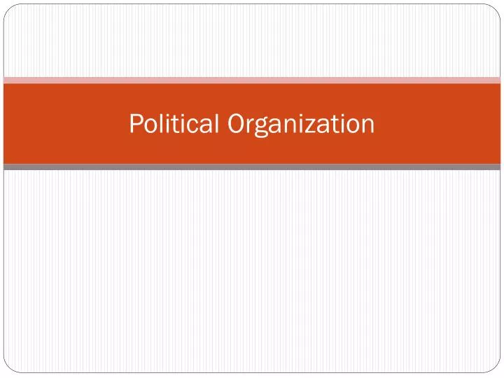 political organization