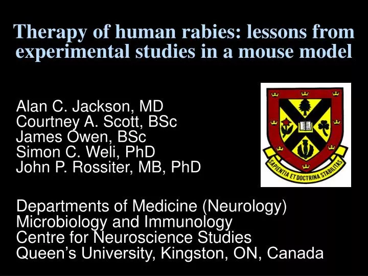 therapy of human rabies lessons from experimental studies in a mouse model