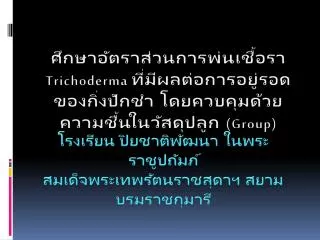 trichoderma group