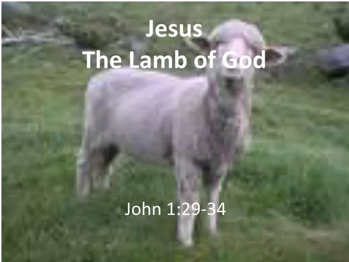 jesus the lamb of god