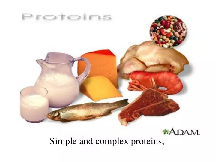 simple and complex proteins