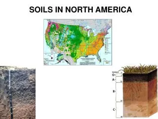 SOILS IN NORTH AMERICA