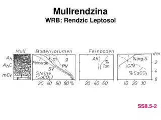 mullrendzina wrb rendzic leptosol