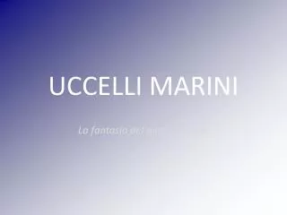 uccelli marini