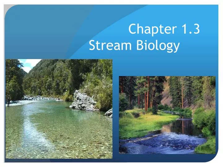 chapter 1 3 stream biology