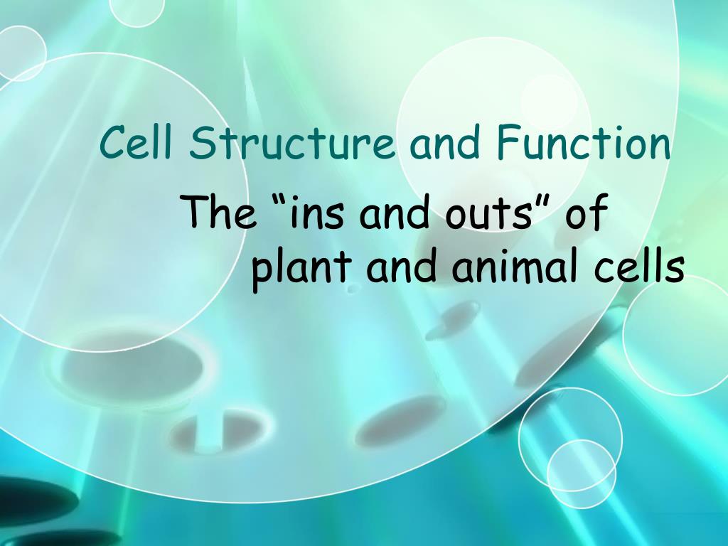 PPT - Cell Structure and Function PowerPoint Presentation, free ...