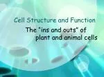 Cell Structure and Function - slide 1