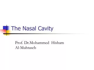 The Nasal Cavity