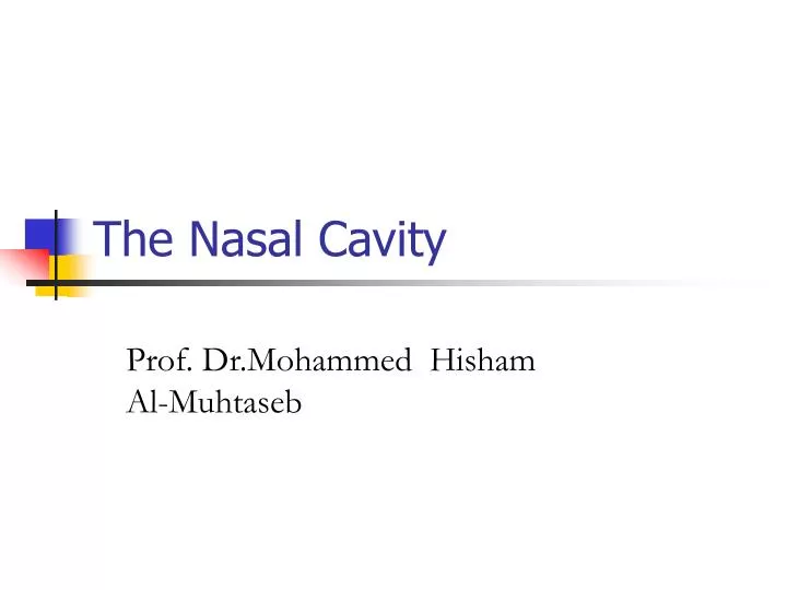 the nasal cavity
