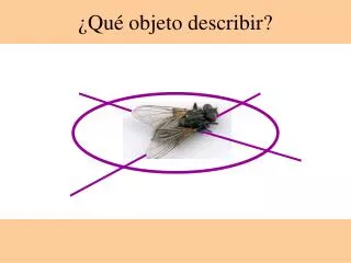 qu objeto describir