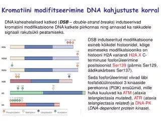Kromatiini modifitseerimine DNA kahjustuste korral
