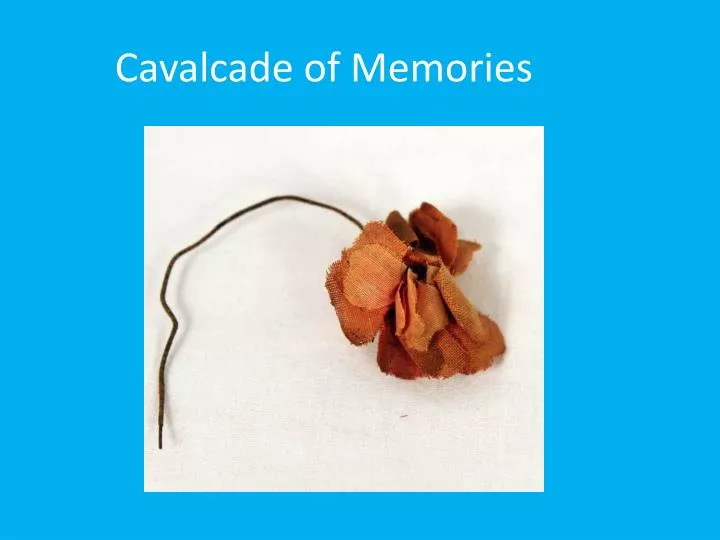 cavalcade of memories