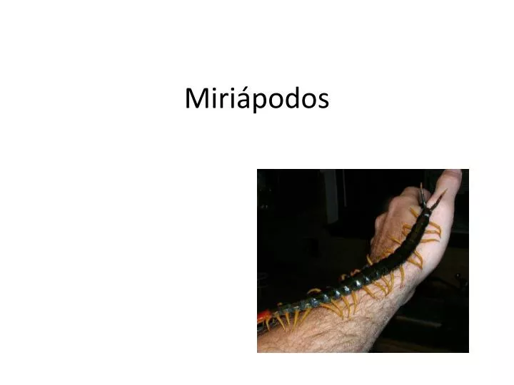 miri podos