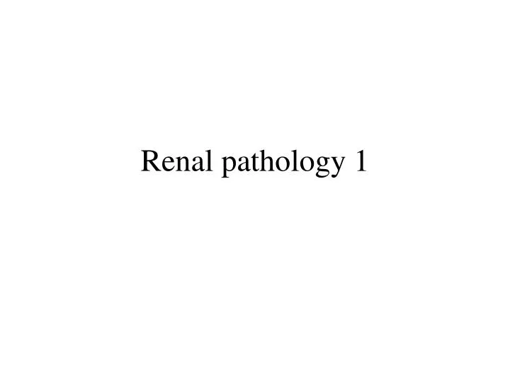 renal pathology 1