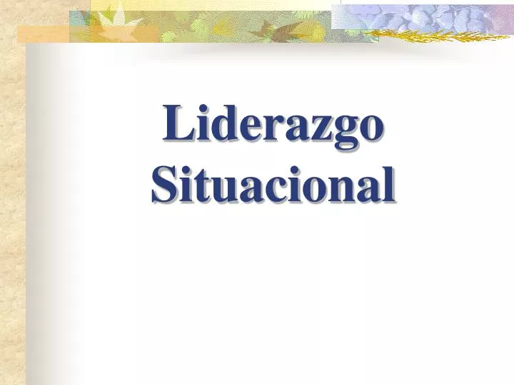 liderazgo situacional