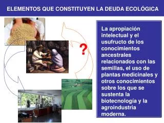 elementos que constituyen la deuda ecol gica