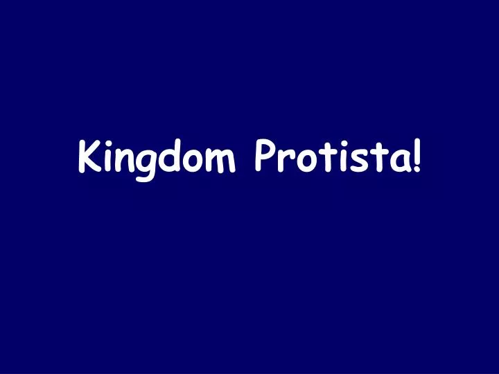 kingdom protista