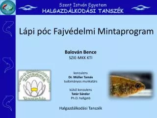 l pi p c fajv delmi mintaprogram