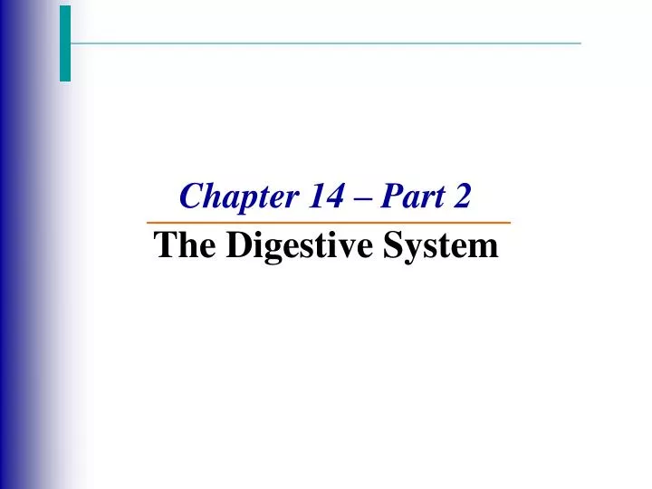 chapter 14 part 2 the digestive system