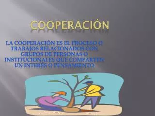 cooperaci n