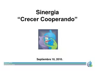 sinergia crecer cooperando