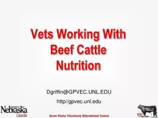 Vets Working With Beef Cattle Nutrition