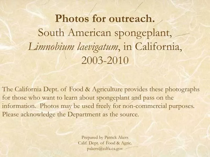 photos for outreach south american spongeplant limnobium laevigatum in california 2003 2010