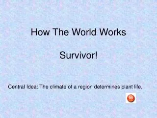 How The World Works Survivor!