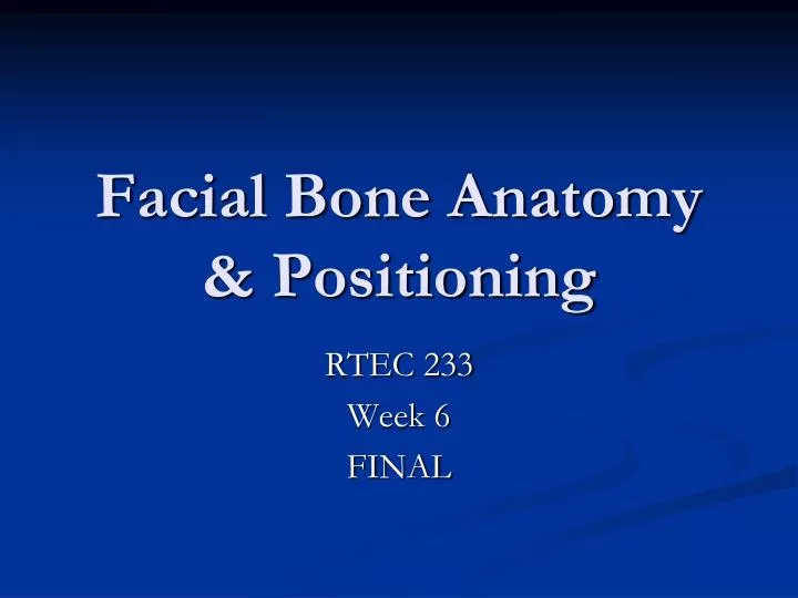 facial bone anatomy positioning