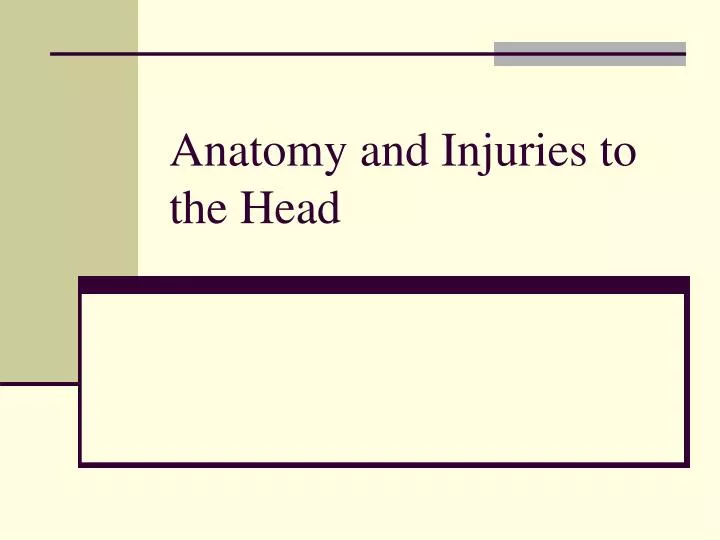 anatomy and injuries to the head
