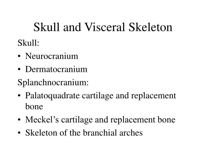 skull and visceral skeleton