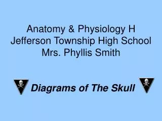 Anatomy &amp; Physiology H Jefferson Township High School Mrs. Phyllis Smith Diagrams of The Skull