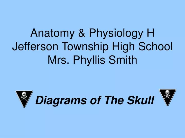 anatomy physiology h jefferson township high school mrs phyllis smith diagrams of the skull