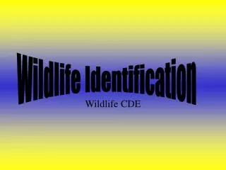 Wildlife CDE