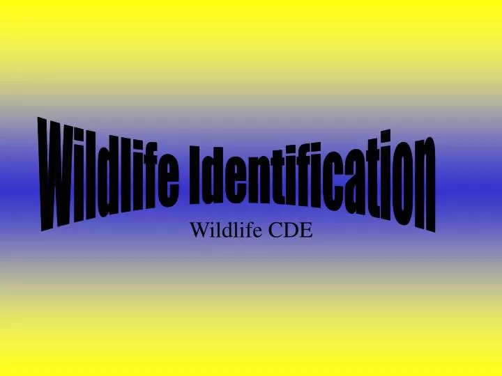 wildlife cde