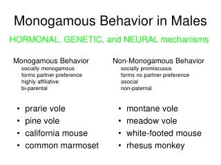 Monogamous Behavior in Males