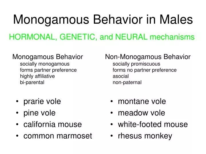 monogamous behavior in males