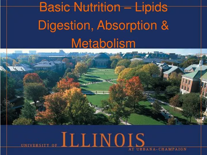 basic nutrition lipids digestion absorption metabolism