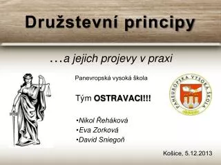 dru stevn principy a jejich projevy v praxi