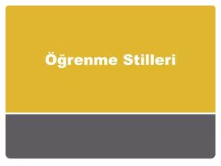renme stilleri