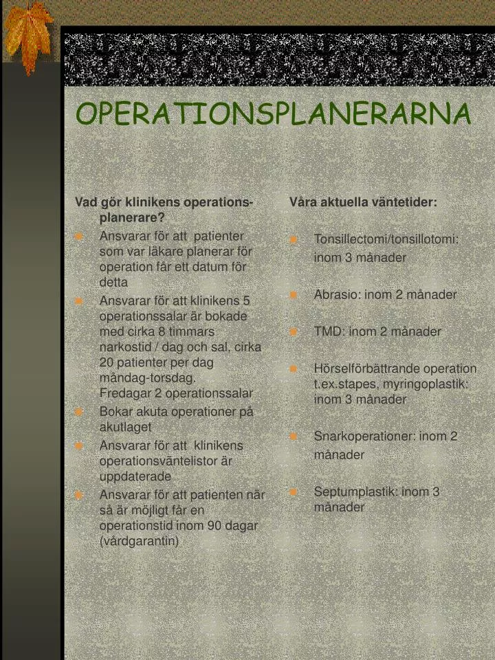 operationsplanerarna