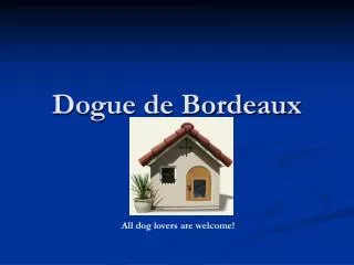 Dogue de Bordeaux