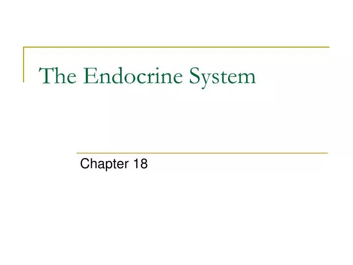 the endocrine system
