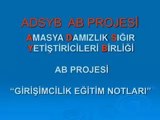 adsyb ab projes