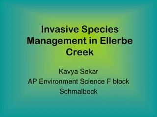 Invasive Species Management in Ellerbe Creek