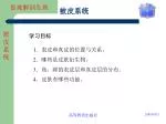 被皮系统 - slide 1