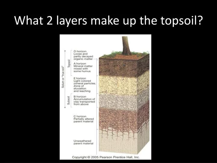 what 2 layers make up the topsoil