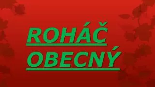 roh obecn