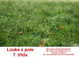 louka x pole 7 t da