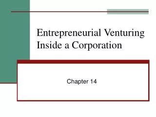 Entrepreneurial Venturing Inside a Corporation